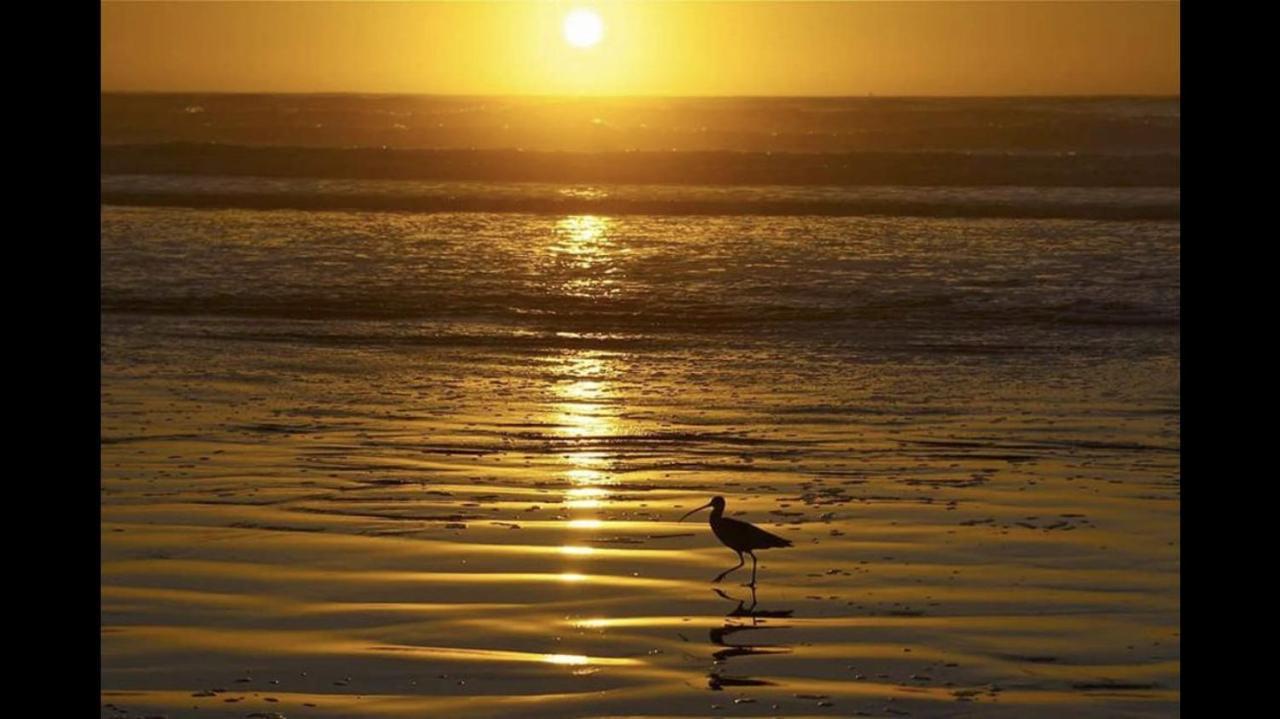 Camping De La Mer Camiers Exteriér fotografie